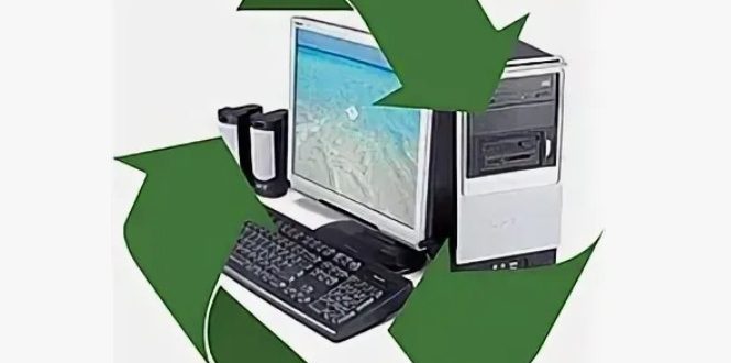 Экоэкономия по‑питерски: как покупка восстановленной оргтехники помогает бюджету и планете